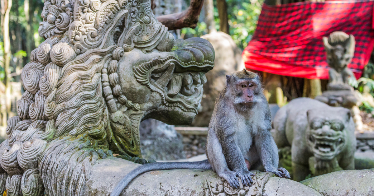 ubud monkey forest