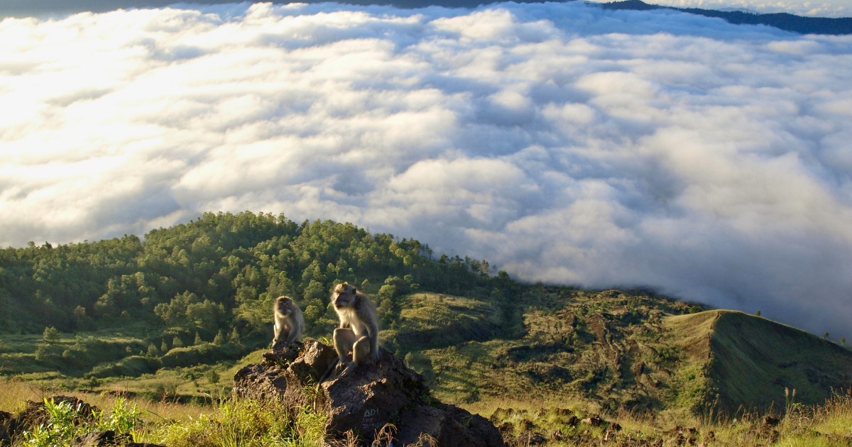 bali indonesia