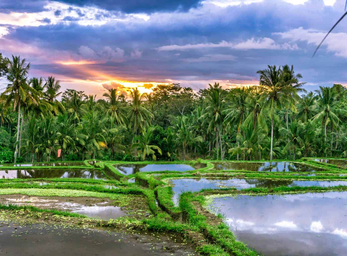 ubud